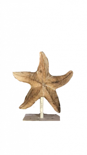 Starfish decoration