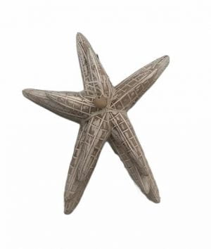 Wooden starfish medium