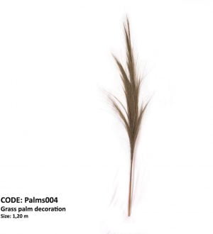 Dry Palm Grass