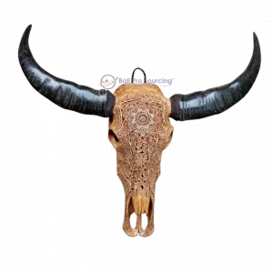 Extra Large Brown Buffalo Skull