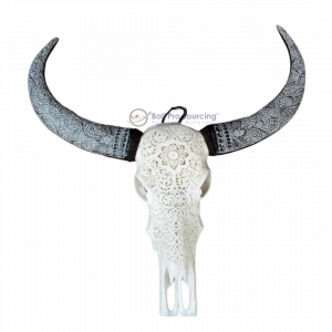 Extra Large Buffalo Skull’s horn carved
