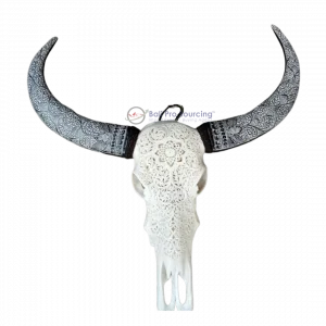 Extra Large Buffalo Skull’s horn carved