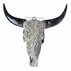 Grey Buffalow's Skull Carved