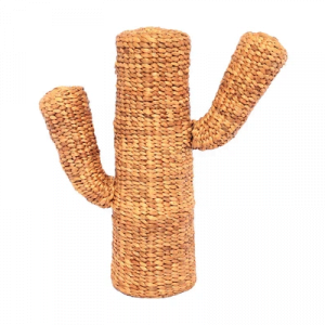 Miniatur Cactus