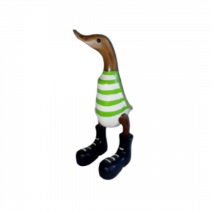 Wooden Duck With White Green Striped T-Shirt