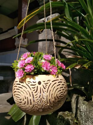 Coconut Plant Pot No.2