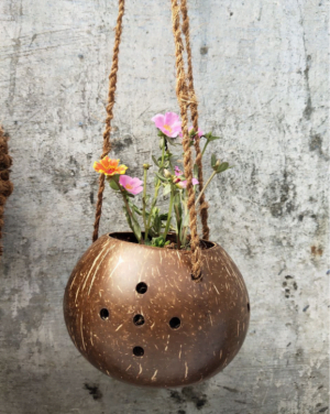 Coconut Plant Pot No.9