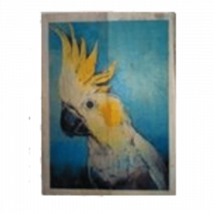 Parrots Painting 2