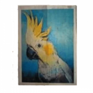 Parrots Painting 2