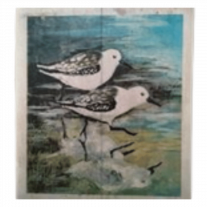 Seagull Painting