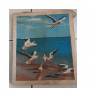 Seagull Painting 3