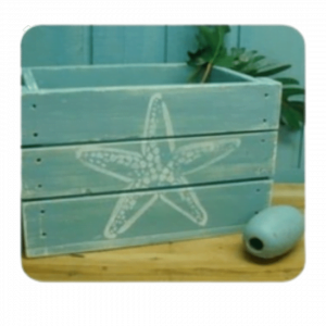 Starfish Box Decoration