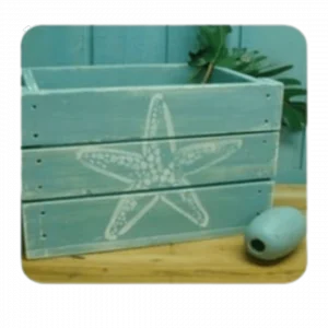 Starfish Box Decoration