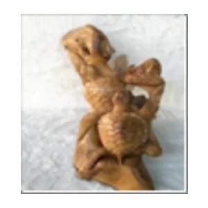 Take Root Turtle Carving Arround 2