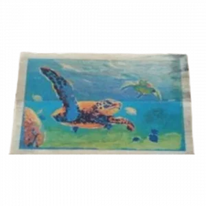 Turtle Painting 3