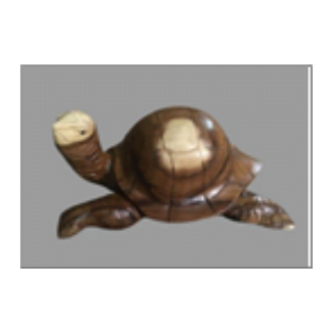 Wooden Turtle 2