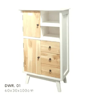 DWR CABINET 01