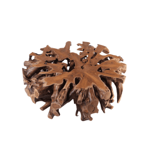 Bromo Root Coffee Table