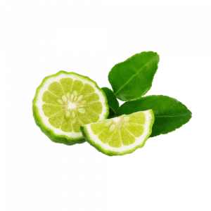 49. KAFFIR LIME essential oil