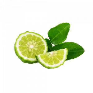 49. KAFFIR LIME essential oil