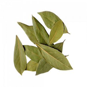 63. NUTMEG LEAF essential oil