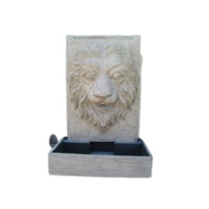 Water Fountain lion