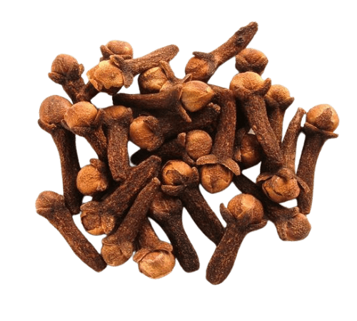 Clove Bud Essential Oil