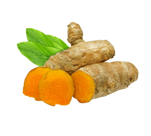 Curcuma Essential Oil
