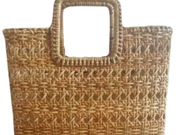 Gaga Handbag