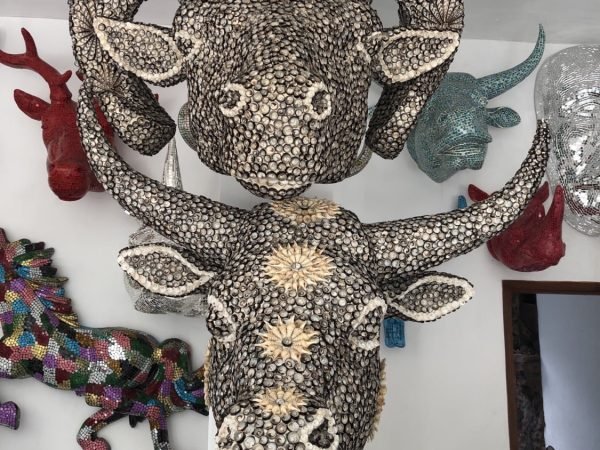Animal head shell decoration