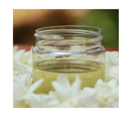 Jasmine Oil Essential Oil