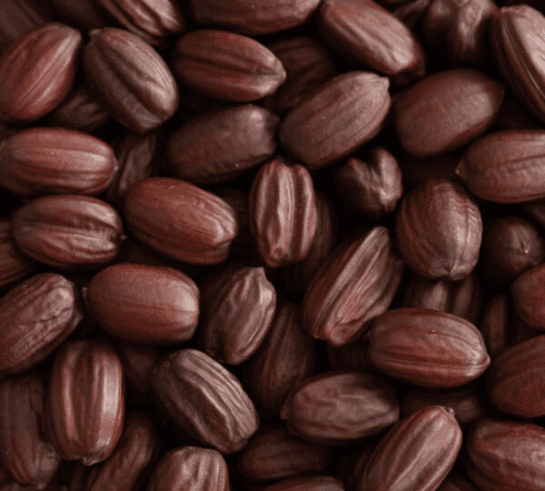 Jojoba Essential Oil