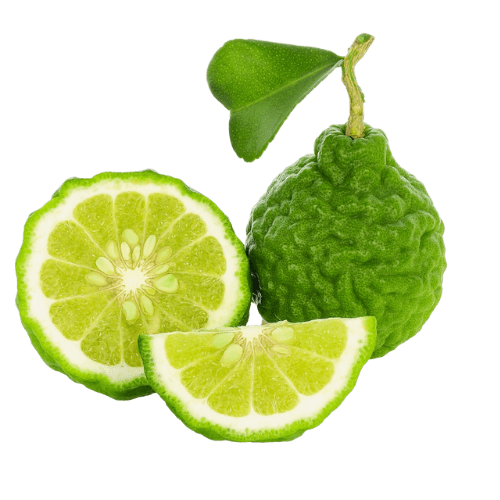 Bergamot Essential Oil