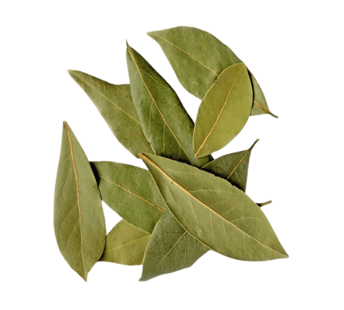 Nutmeg Leaf Essential Oil