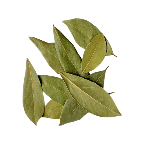 Nutmeg Leaf Essential Oil
