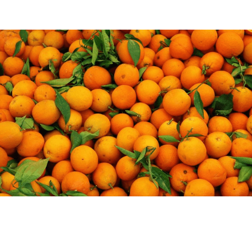 Orange Essential Oil