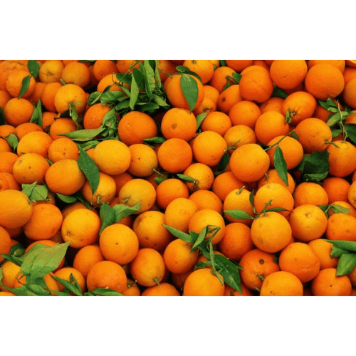 Orange Essential Oil