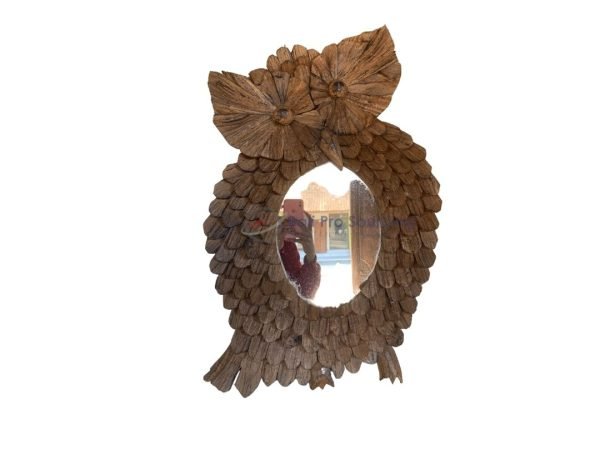 Owl Mirror