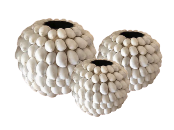 A Set Of 3 Sea Shells Candle Holder