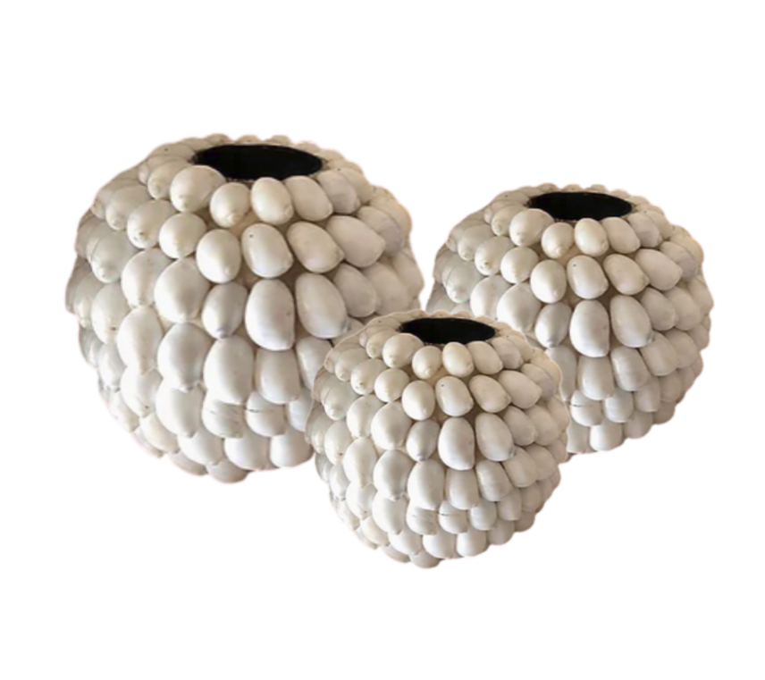 A Set Of 3 Sea Shells Candle Holder