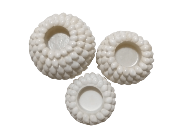 A set Of 3 Shells Candle pot
