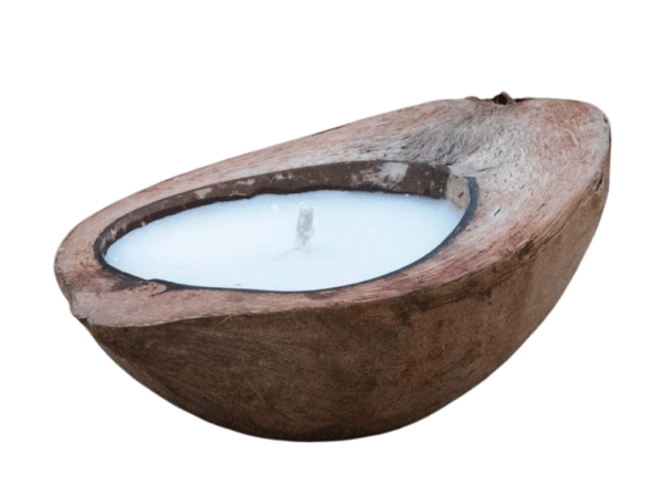 Candle In Coconut
