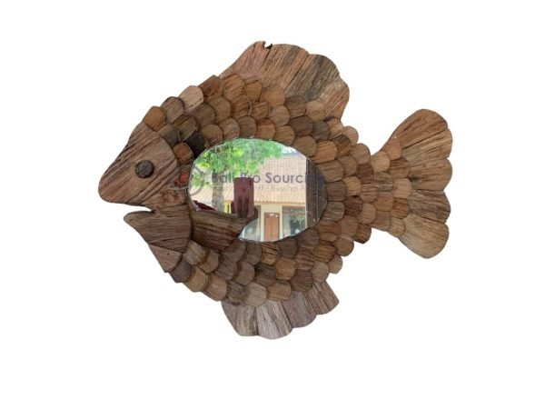 Fish Mirror