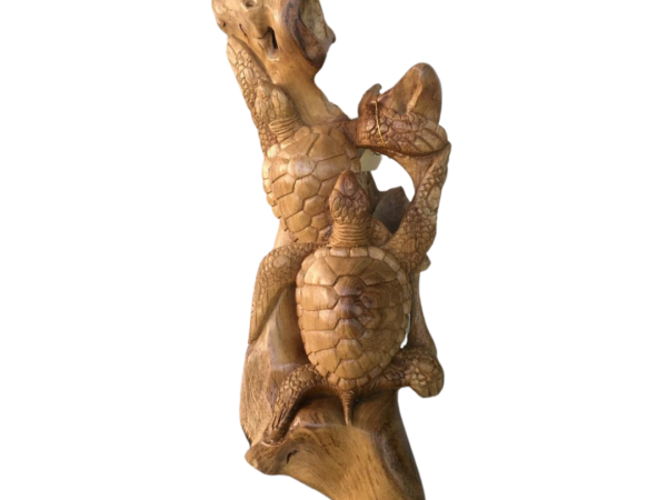 Wooden Turtle Decoration