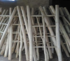 Wood Stairs