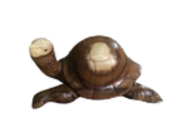 Wooden Turtle