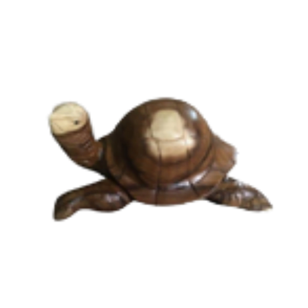 Wooden Turtle