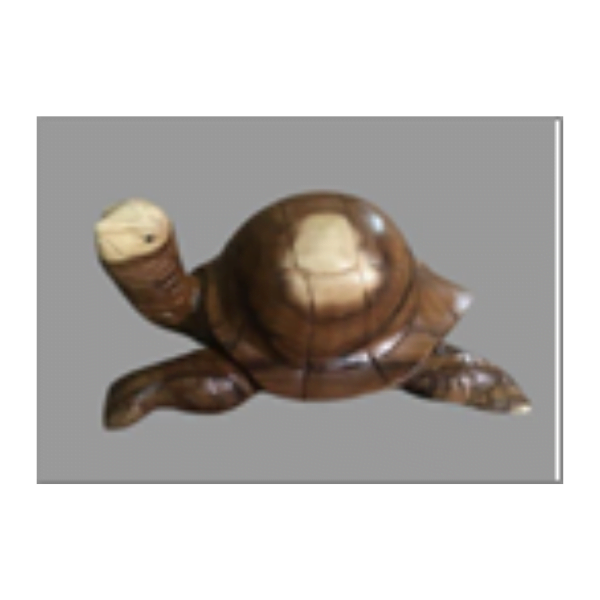 Wooden Turtle – Image 2